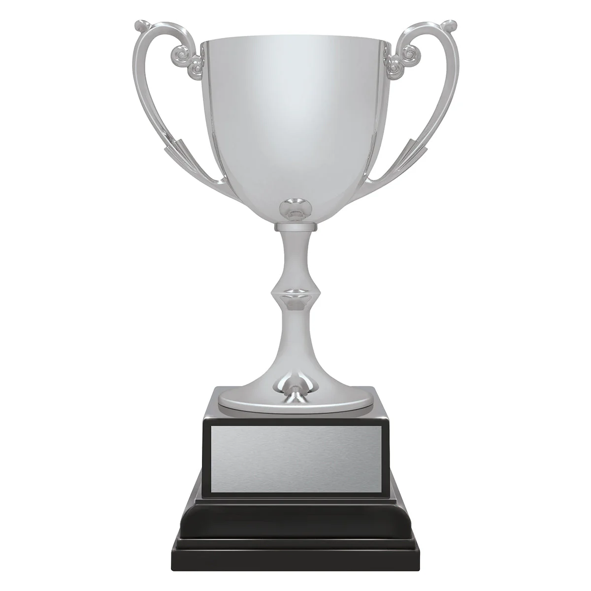 Ace Recognition Silver - Image 2