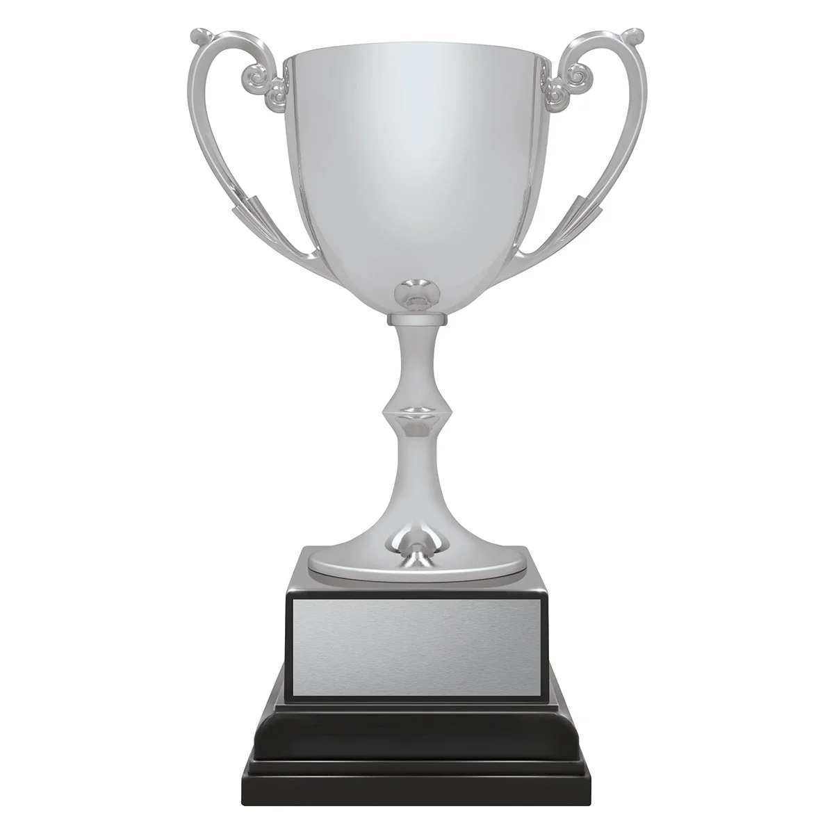 Ace Recognition Silver - Image 3